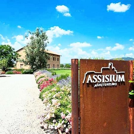Assisium Agriturismo Εξωτερικό φωτογραφία