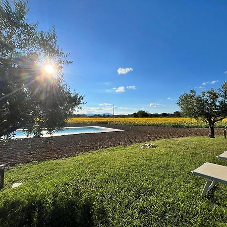 Assisium Agriturismo Εξωτερικό φωτογραφία