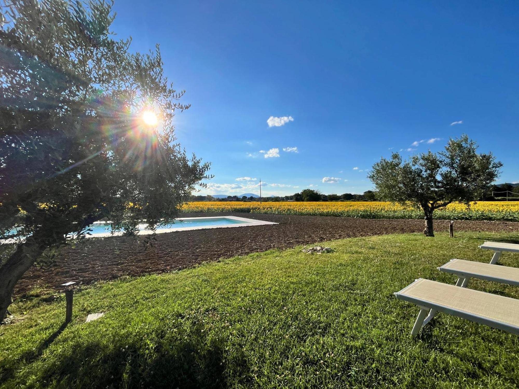 Assisium Agriturismo Εξωτερικό φωτογραφία