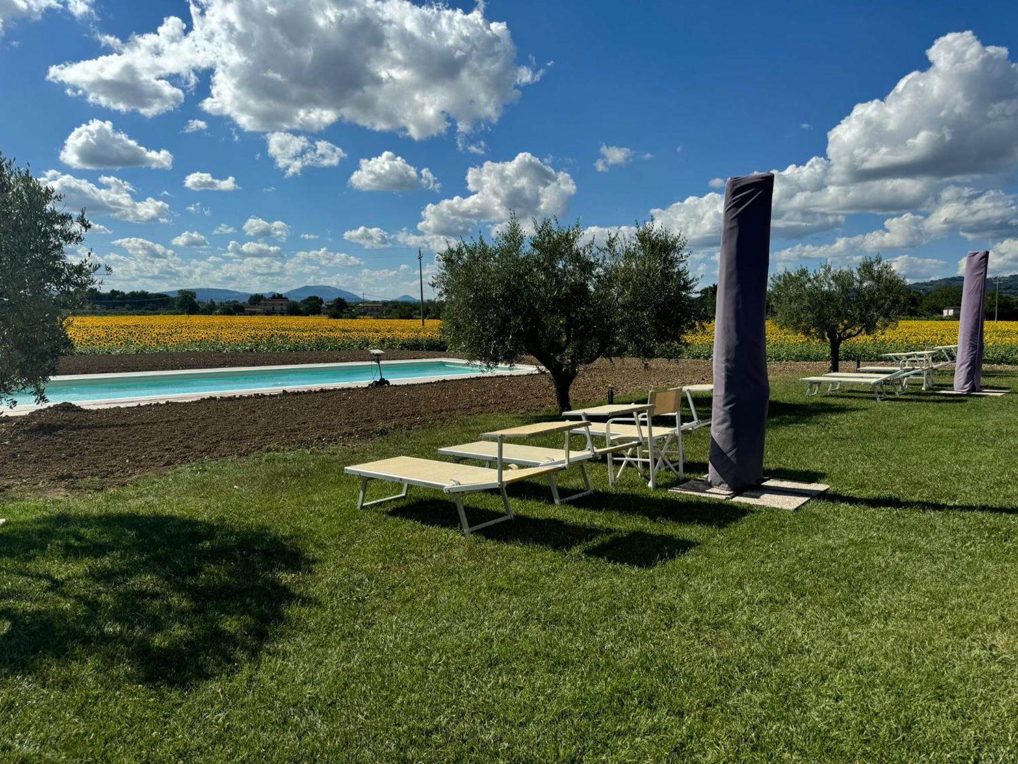 Assisium Agriturismo Εξωτερικό φωτογραφία