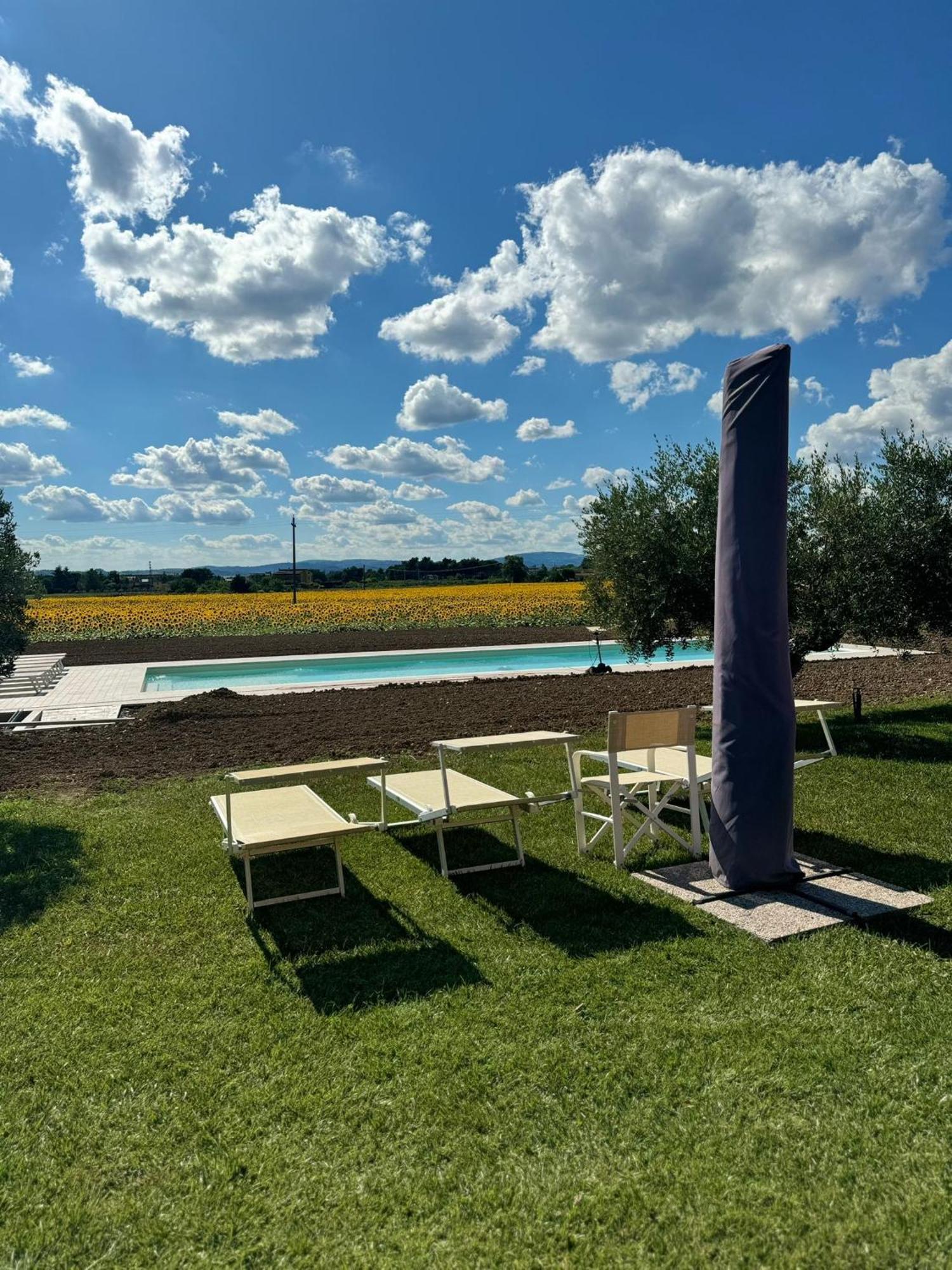 Assisium Agriturismo Εξωτερικό φωτογραφία