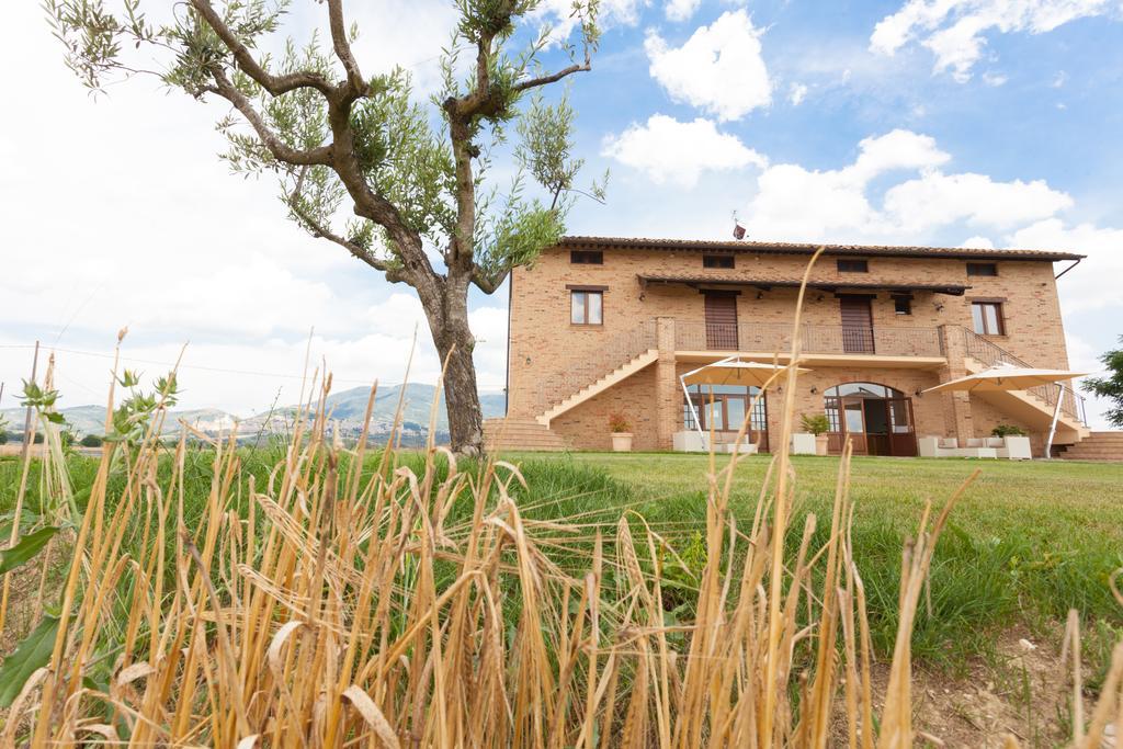 Assisium Agriturismo Εξωτερικό φωτογραφία