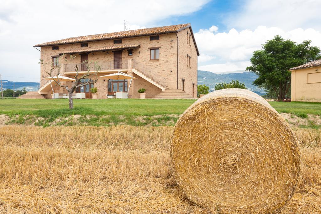 Assisium Agriturismo Εξωτερικό φωτογραφία